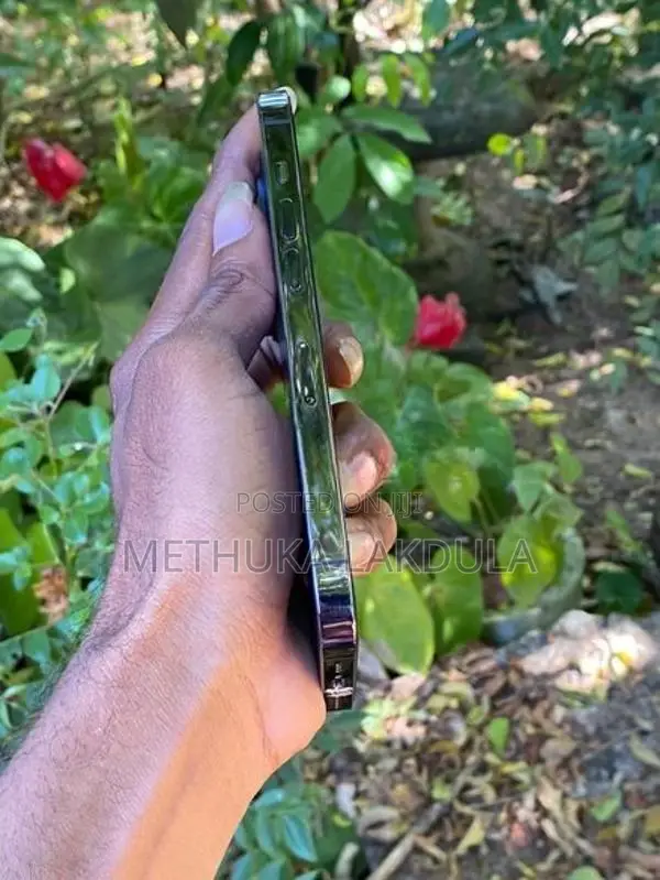 Apple iPhone 14 Pro 128GB (Used)