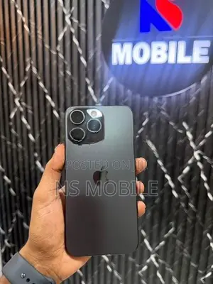 Apple iPhone 15 Pro Max 256GB (Used)