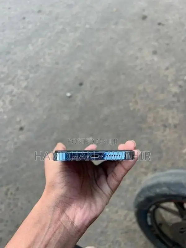 Apple iPhone 13 Pro Max 256GB (Used)