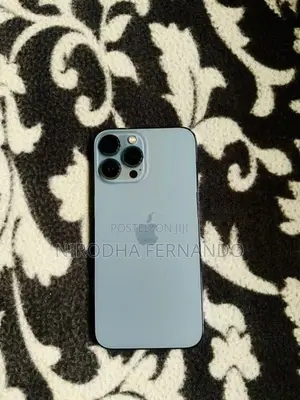 Apple iPhone 13 Pro Max (Used)