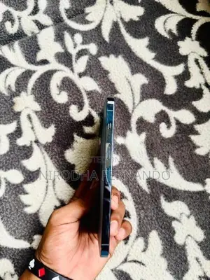 Apple iPhone 13 Pro Max (Used)