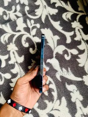 Apple iPhone 13 Pro Max (Used)