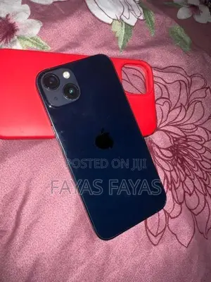 Apple iPhone 13 (Used)