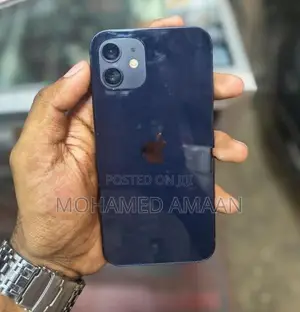 Apple iPhone 12 (Used)