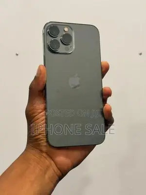 Apple iPhone 13 Pro Max (Used)