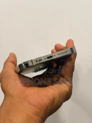 Apple iPhone 13 Pro Max (Used)