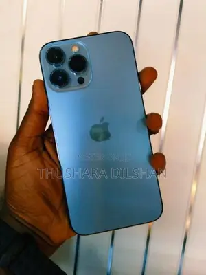 Apple iPhone 13 Pro Max 256GB (Used)
