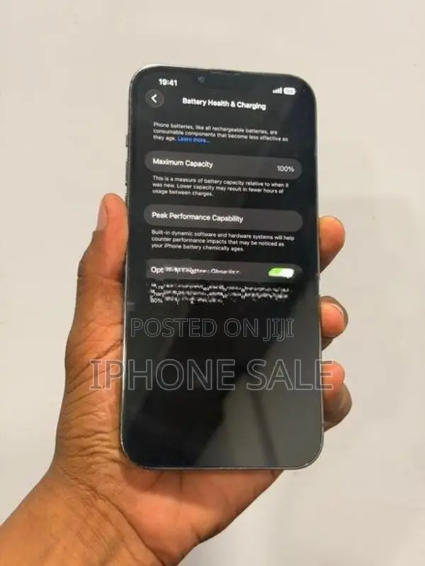 Apple iPhone 13 Pro Max (Used)