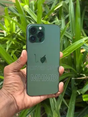 Apple iPhone 13 Pro Max (Used)
