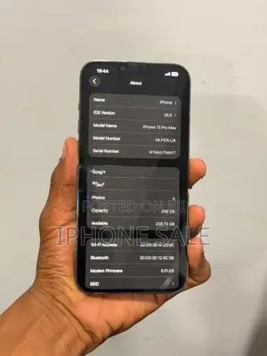 Apple iPhone 13 Pro Max (Used)