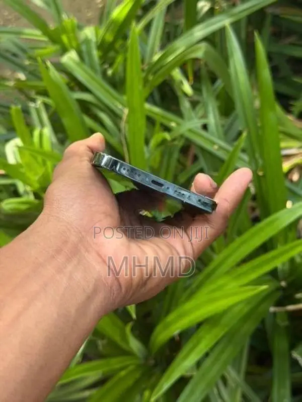 Apple iPhone 13 Pro Max (Used)