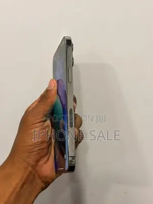 Apple iPhone 13 Pro Max (Used)