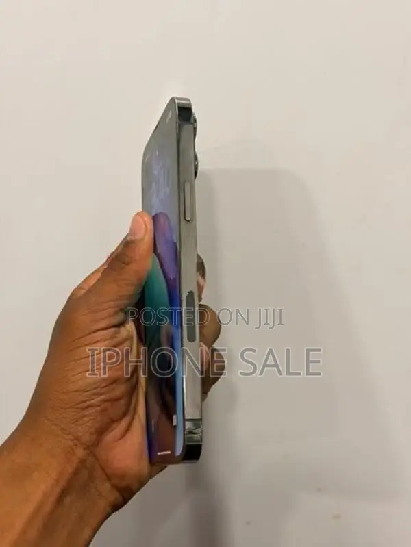 Apple iPhone 13 Pro Max (Used)