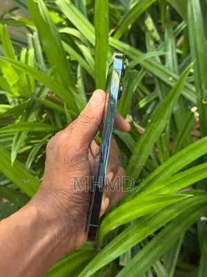 Apple iPhone 13 Pro Max (Used)