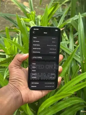 Apple iPhone 13 Pro Max (Used)