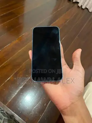 Apple iPhone 13 (Used)