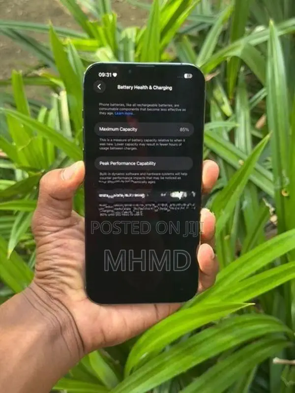 Apple iPhone 13 Pro Max (Used)