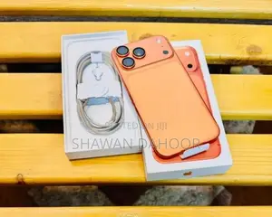 Apple iPhone 17 Pro Max (Used)