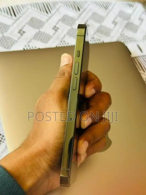 Apple iPhone 13 Pro 256GB (Used)