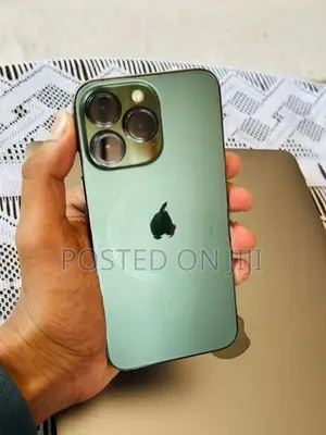 Apple iPhone 13 Pro 256GB (Used)
