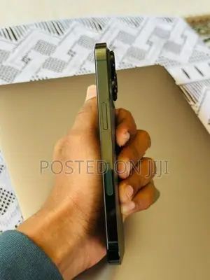 Apple iPhone 13 Pro 256GB (Used)