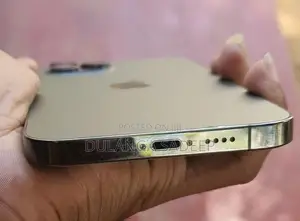 Apple iPhone 12 Pro Max (Used)