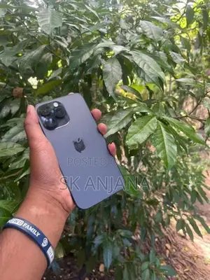 Apple iPhone 14 Pro Max (Used)