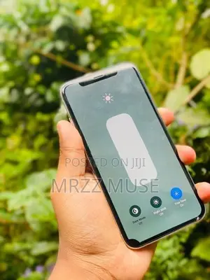Apple iPhone X (Used)