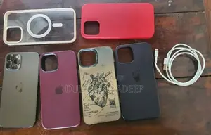 Apple iPhone 12 Pro Max (Used)