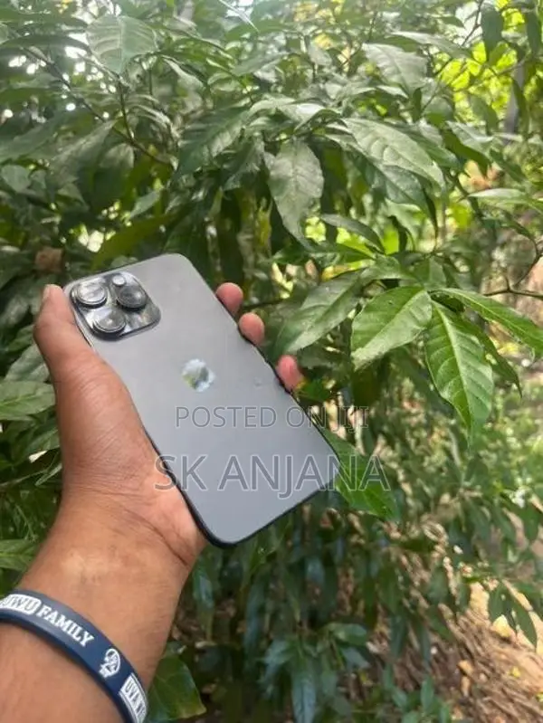 Apple iPhone 14 Pro Max (Used)