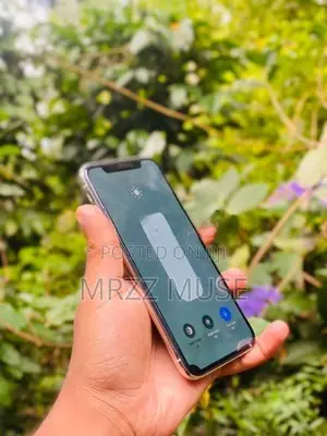 Apple iPhone X (Used)