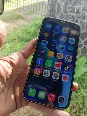 Apple iPhone 12 Pro (Used)