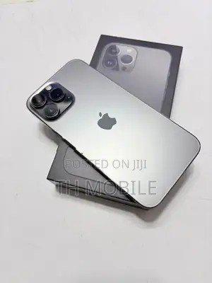 Apple iPhone 13 Pro Max (Used)
