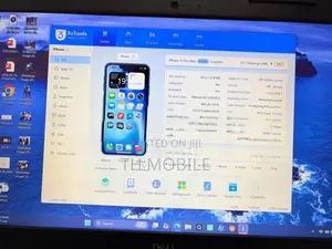Apple iPhone 13 Pro Max (Used)