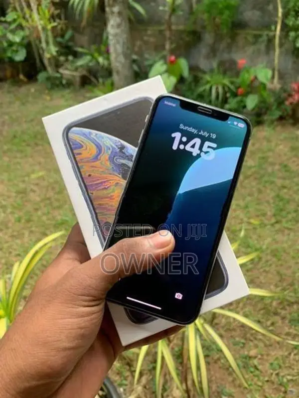 Apple iPhone XS 256Gb (Used)
