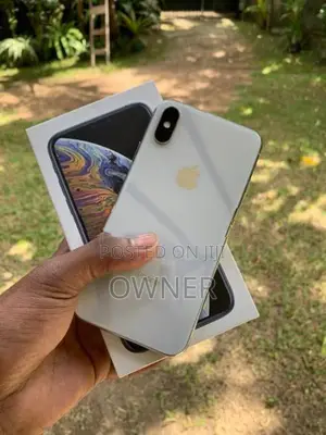 Apple iPhone XS 256Gb (Used)