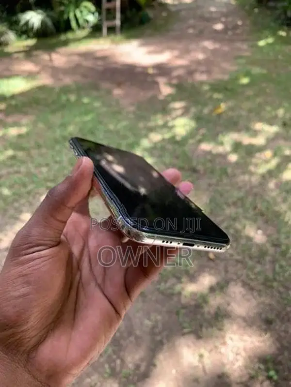 Apple iPhone XS 256Gb (Used)