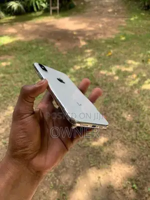 Apple iPhone XS 256Gb (Used)