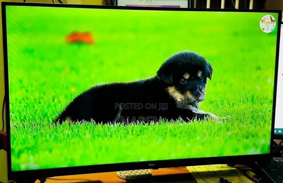 Abans 32 Inch Frameless LED TV