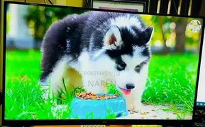 Abans 32 Inch Frameless LED TV
