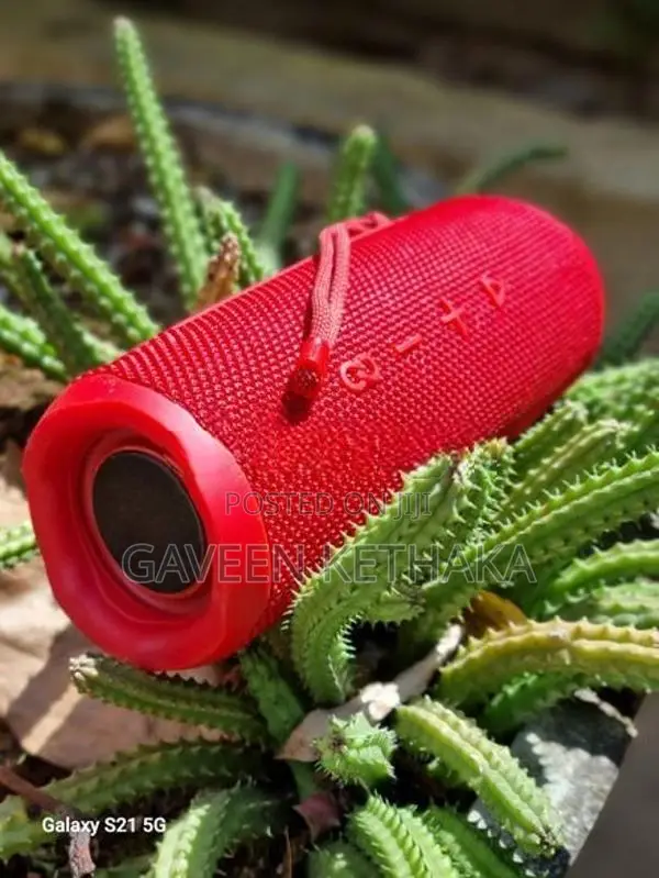 JBL Flip 6 Speaker