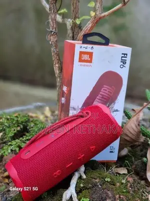 JBL Flip 6 Speaker