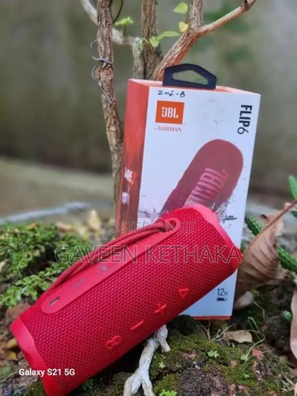 JBL Flip 6 Speaker