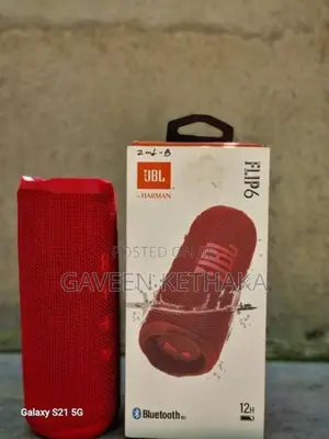 JBL Flip 6 Speaker