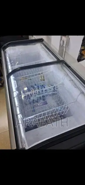 Singer Freezer