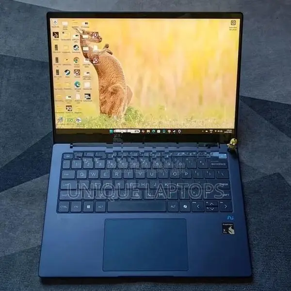HP EliteBook Ultra Touch Screen