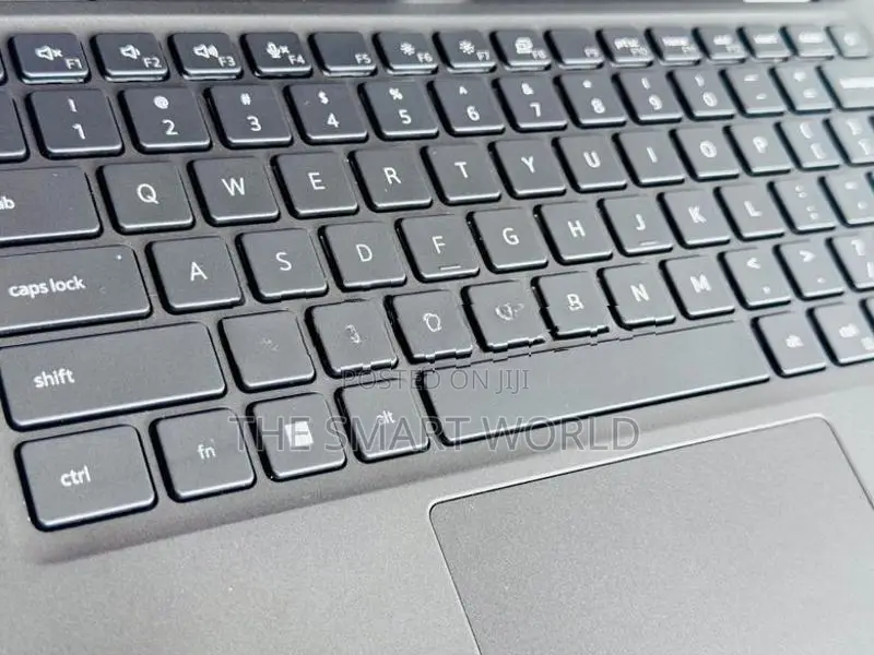 Dell Latitude Core i5 11th 8GB RAM 256GB NVMe High Professional Laptop