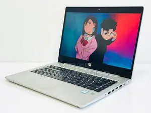 HP ProBook Core i5 8th Gen 8GB RAM 256GB NVMe High Professional Laptop