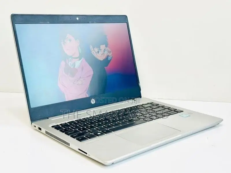HP ProBook Core i5 8th Gen 8GB RAM 256GB NVMe High Professional Laptop