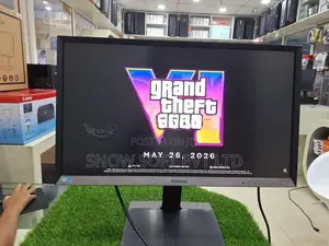 LED Monitors